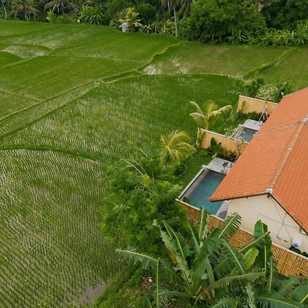 Uma Rimbun Pool Villa By Uniquecations อูบุด ภายนอก รูปภาพ