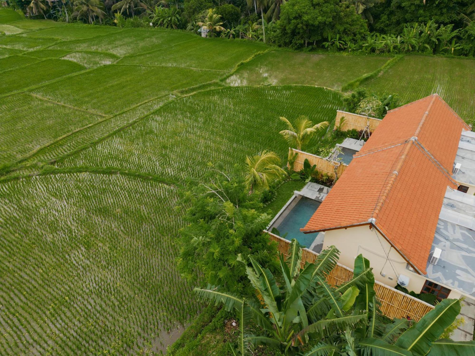 Uma Rimbun Pool Villa By Uniquecations อูบุด ภายนอก รูปภาพ